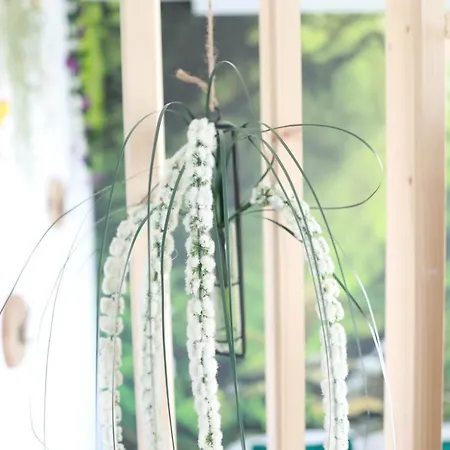 Apartament * Les Aux Etoiles *