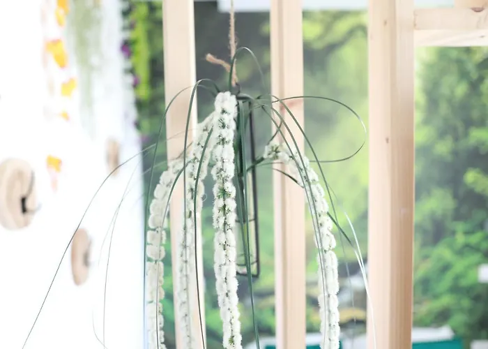 Apartmán * Les Aux Etoiles *